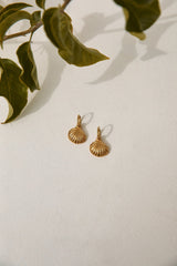 18 Karat vergoldete Shore Discovery Ohrringe Gold